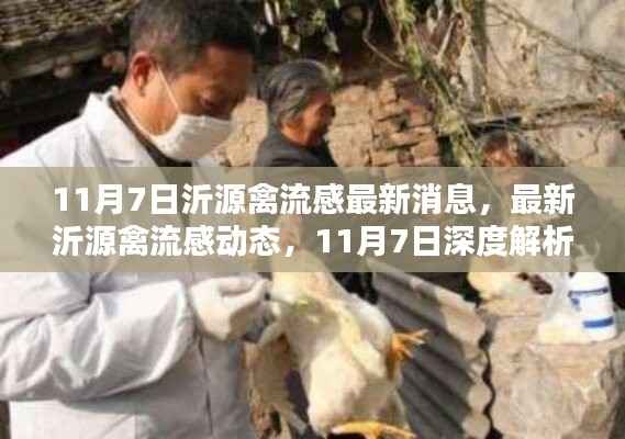 九死一生 第11页