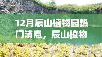 辰山植物园十二月惊喜,绿色秘境与特色小店的巷弄之旅