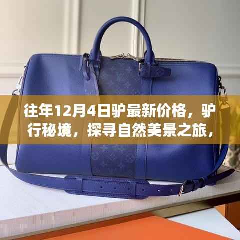 探寻自然秘境,驴的最新价格与心灵之旅的启示