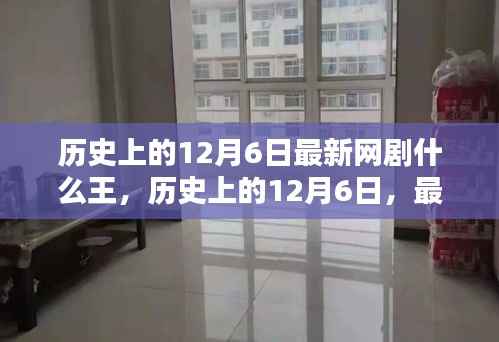 最新网剧XX王深度测评与介绍,历史上的12月6日