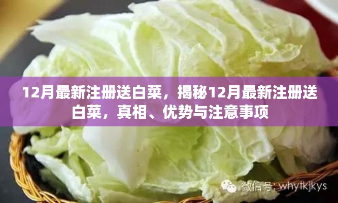 揭秘12月最新注册送白菜活动,真相、优势与注意事项全解析