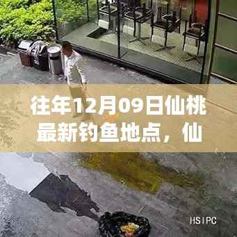 揭秘仙桃垂钓胜地,揭秘往年12月9日最新钓鱼地点背后的故事与魅力