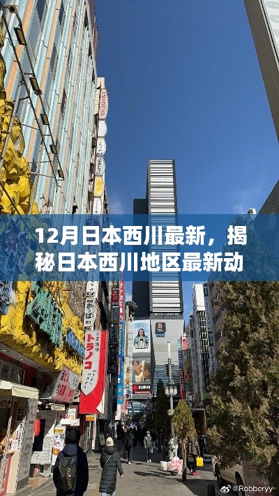 联系我们 第237页