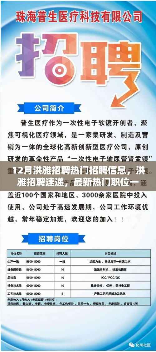 洪雅招聘速递,最新热门职位一网打尽,把握就业黄金机会!