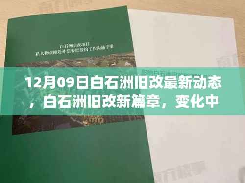 白石洲旧改最新动态,变化中的学习,自信与成就感的源泉