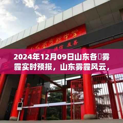 山东各市雾霾实时预报与深度解读,2024年12月09日雾霾风云解析
