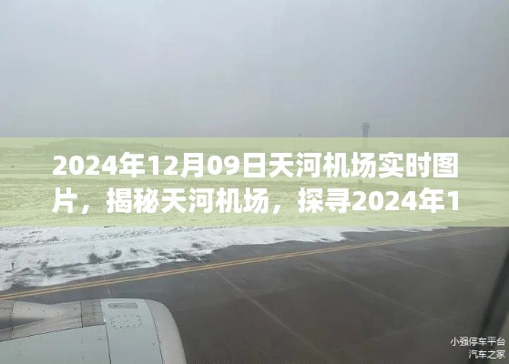 鸟啼花怨 第2页