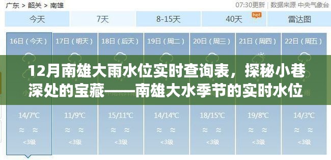 探秘南雄小巷深处宝藏,实时水位查询与美味故事——南雄大雨水位实时查询表揭秘