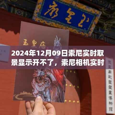 索尼相机实时取景功能故障分析与解决策略(更新至2024年12月09日)