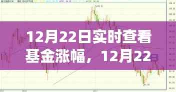 12月22日基金市场实时洞察,把握涨幅,洞悉投资先机