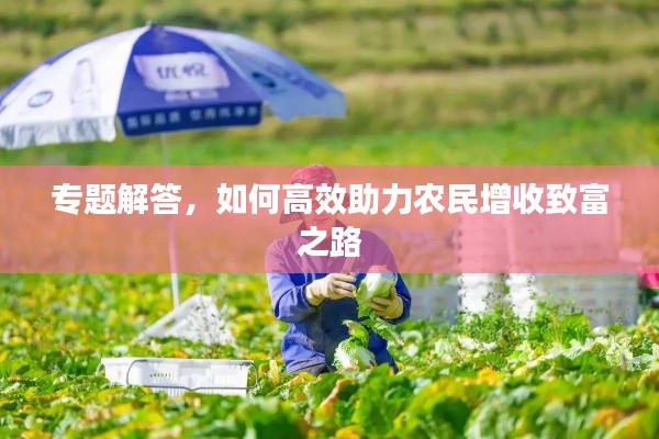 专题解答,如何高效助力农民增收致富之路