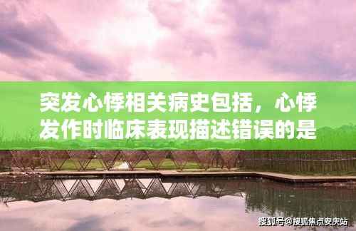 突发心悸相关病史包括，心悸发作时临床表现描述错误的是 