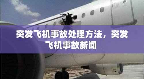 突发飞机事故处理方法,突发飞机事故新闻