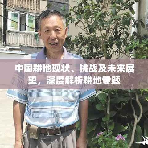中国耕地现状、挑战及未来展望,深度解析耕地专题