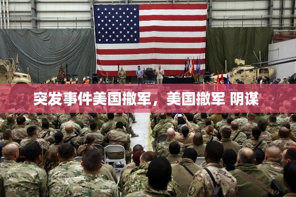 突发事件美国撤军,美国撤军 阴谋