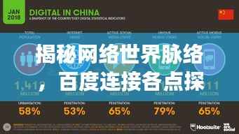 揭秘网络世界脉络,百度连接各点探秘