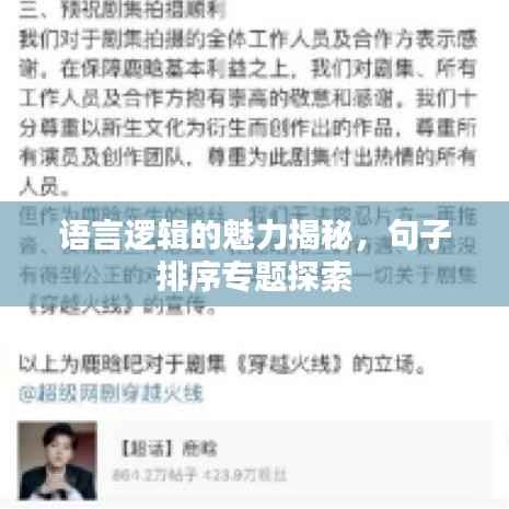 语言逻辑的魅力揭秘,句子排序专题探索