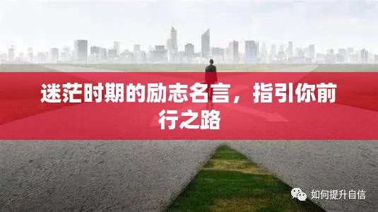 联系我们 第155页