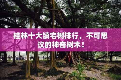 桂林十大镇宅树排行,不可思议的神奇树木!