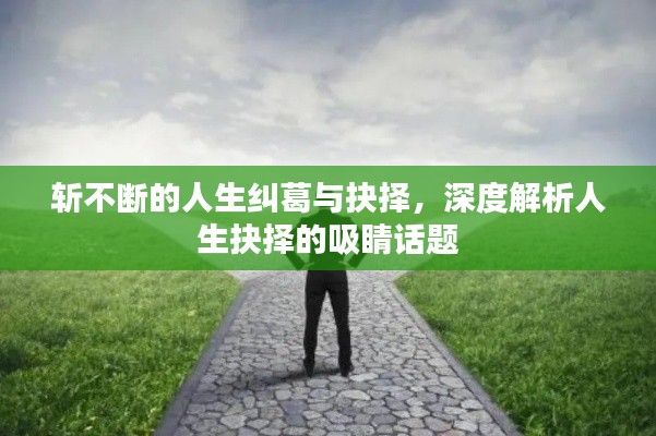 斩不断的人生纠葛与抉择,深度解析人生抉择的吸睛话题