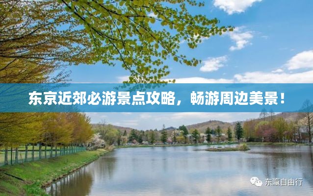东京近郊必游景点攻略,畅游周边美景!