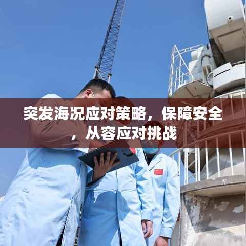 突发海况应对策略,保障安全,从容应对挑战
