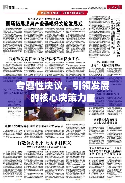 专题性决议,引领发展的核心决策力量