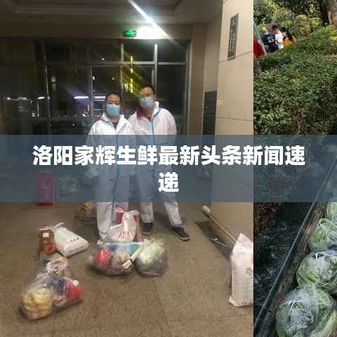 洛阳家辉生鲜最新头条新闻速递