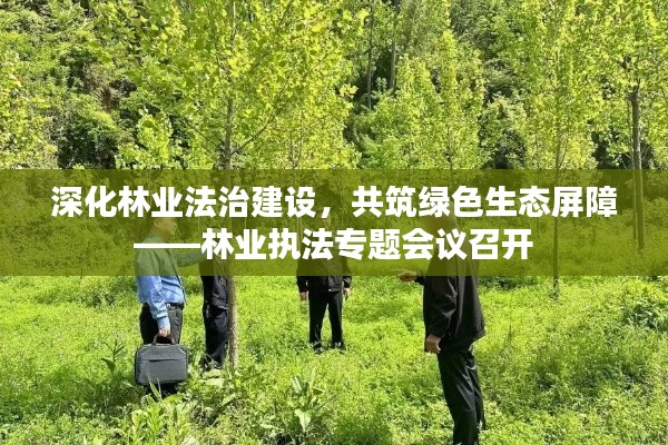 深化林业法治建设,共筑绿色生态屏障——林业执法专题会议召开