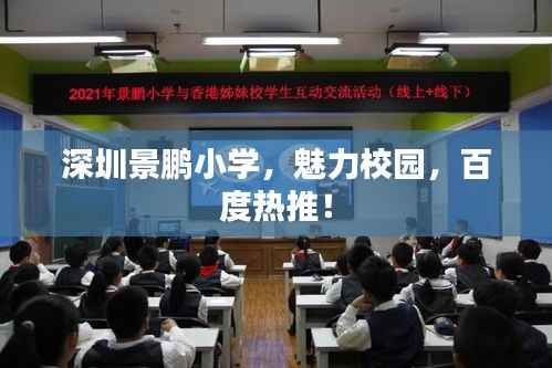 深圳景鹏小学,魅力校园,百度热推!