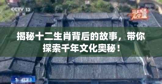 揭秘十二生肖背后的故事,带你探索千年文化奥秘!