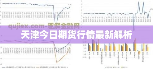 天津今日期货行情最新解析