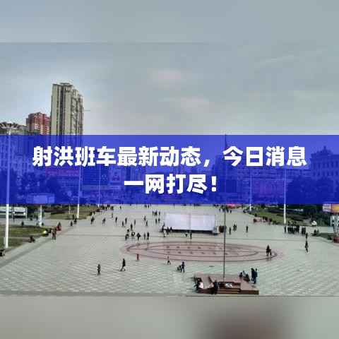 射洪班车最新动态,今日消息一网打尽!