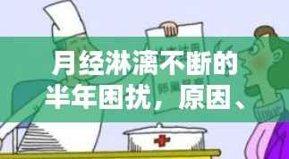 月经淋漓不断的半年困扰，原因、影响与应对策略