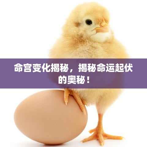 命宫变化揭秘,揭秘命运起伏的奥秘!