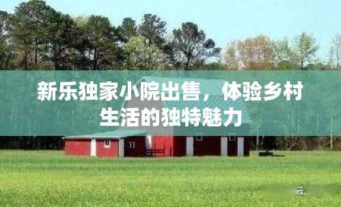 新乐独家小院出售,体验乡村生活的独特魅力