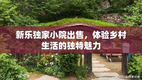 新乐独家小院出售,体验乡村生活的独特魅力