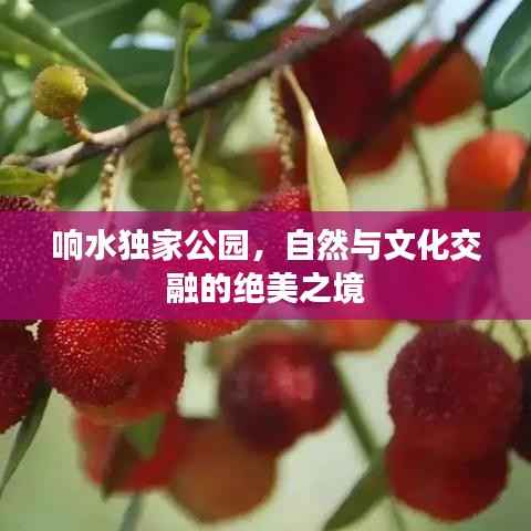 响水独家公园,自然与文化交融的绝美之境