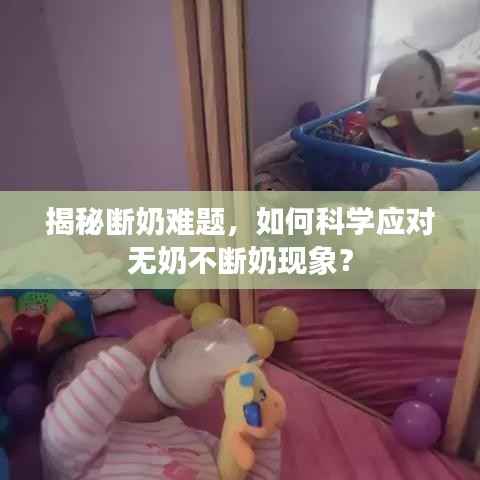 揭秘断奶难题,如何科学应对无奶不断奶现象?