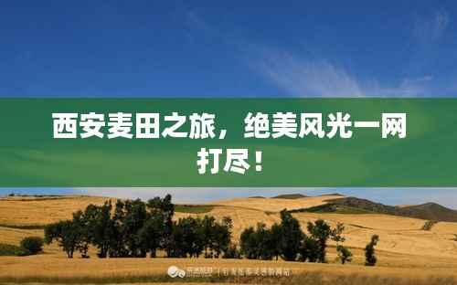 西安麦田之旅,绝美风光一网打尽!
