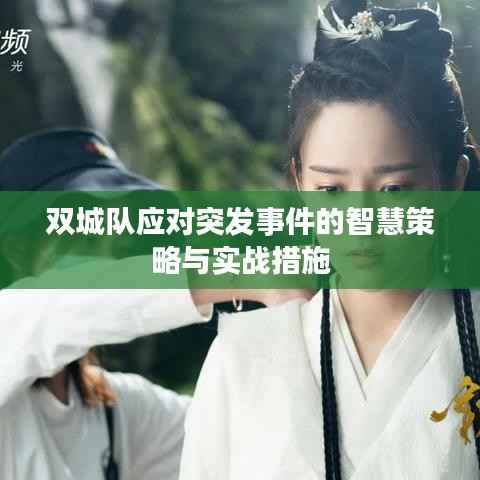 双城队应对突发事件的智慧策略与实战措施