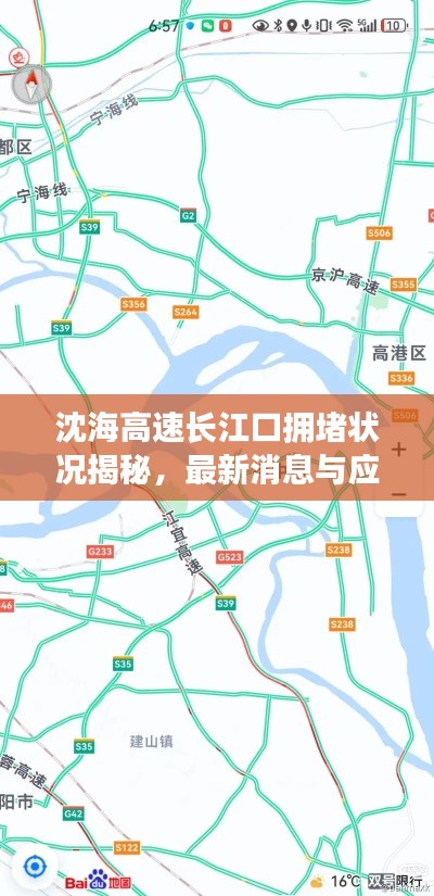 沈海高速长江口拥堵状况揭秘,最新消息与应对建议