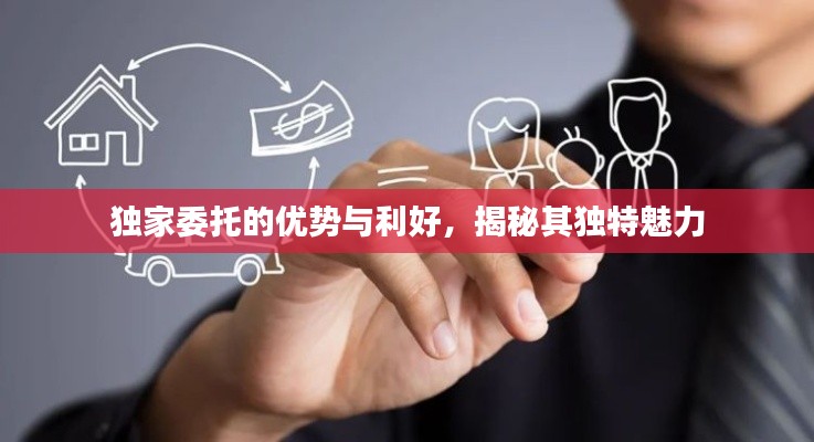 独家委托的优势与利好,揭秘其独特魅力