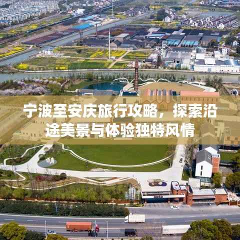 毛手毛脚 第2页