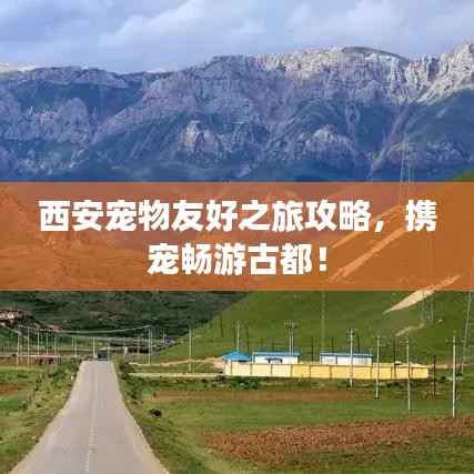 西安宠物友好之旅攻略,携宠畅游古都!