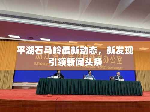 平湖石马岭最新动态,新发现引领新闻头条