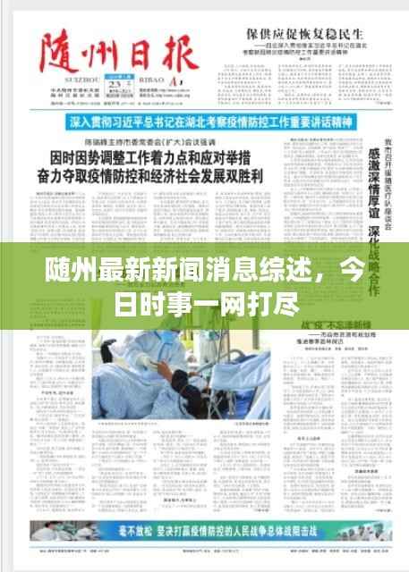 随州最新新闻消息综述,今日时事一网打尽