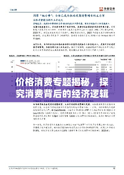价格消费专题揭秘，探究消费背后的经济逻辑深度解析
