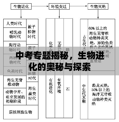 中考专题揭秘,生物进化的奥秘与探索
