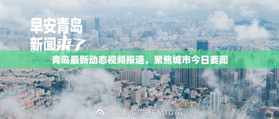 青岛最新动态视频报道,聚焦城市今日要闻